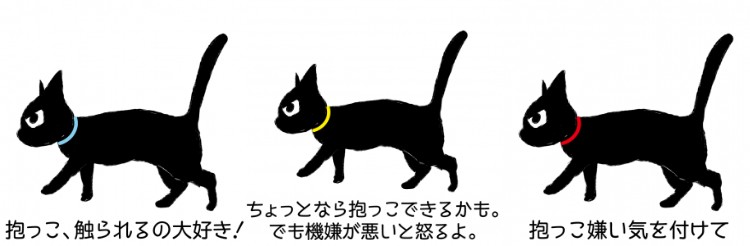 入店時のルール  猫カフェ コックンの別荘