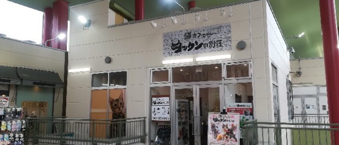 海老名ビナウォーク店 猫カフェ コックンの別荘