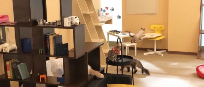 shop_海老名ビナウォーク_03