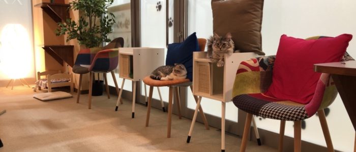 shop_海老名ビナウォーク_05