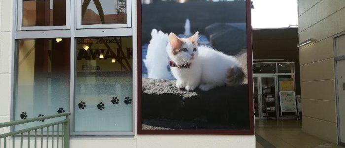 shop_海老名ビナウォーク_06