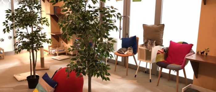 shop_海老名ビナウォーク_07