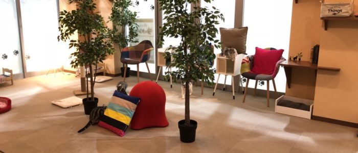 shop_海老名ビナウォーク_08