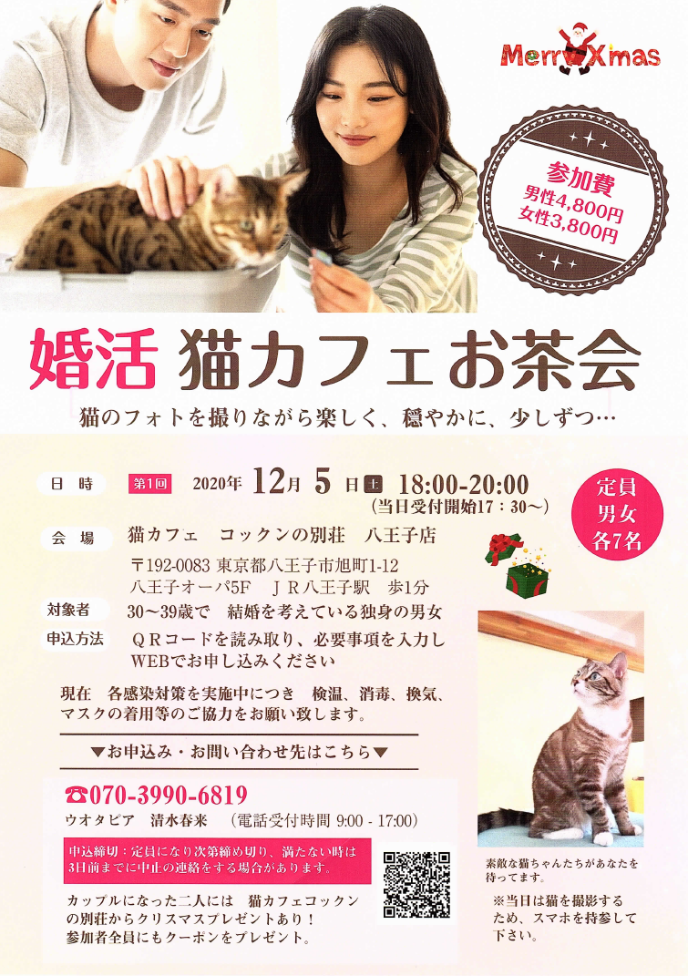 八王子店 婚活イベント開催につき貸切営業のお知らせ 猫カフェ コックンの別荘
