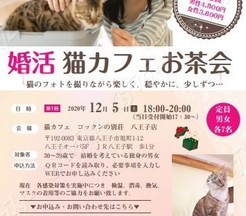 八王子店 婚活イベント開催につき貸切営業のお知らせ 猫カフェ コックンの別荘