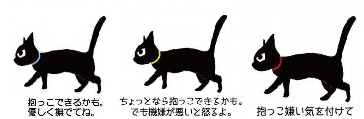 入店時のルール 猫カフェ コックンの別荘